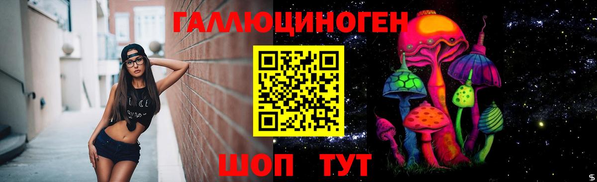 Галлюциногенные грибы Psilocybine cubensis  Вход с VPN  Городец 